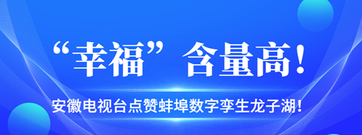 ​“幸福”含量高，安徽电视台点赞蚌埠数字孪生龙子湖！